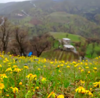 سردشت ، نگین سبز گردشگری غرب کشور