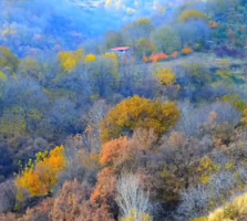 شهر سردشت و زیبایی هایش