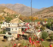 طبیعت دیدنی روستای پاراستان سردشت