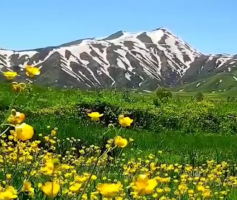 طبیعت رویایی دشت وزینه سردشت