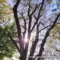 مناظر زیبای تفرجگاه گردشگری منطقه نلاس سردشت