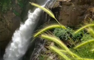 ویدیویی متفاوت از خروش آبشار شلماش سردشت