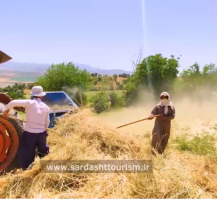 کشاورزان زحمت کش روستای بیشاسب سردشت