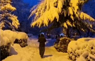 طبیعت زمستانی پارک مرکز شهر سردشت